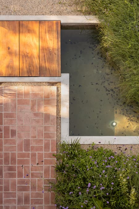 House around the Tree